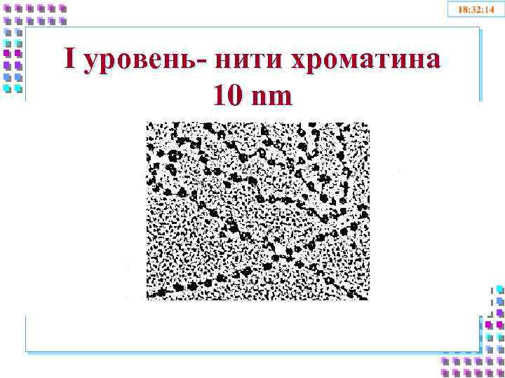 I уровень- нити хроматина 10 nm 