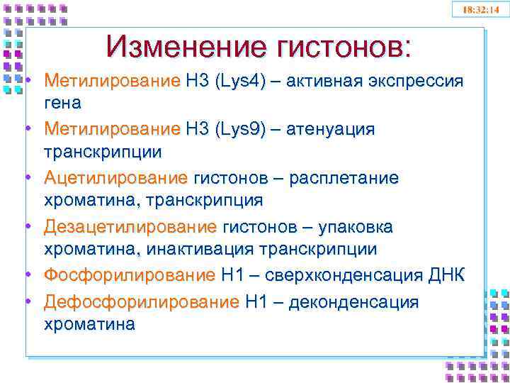 Изменение гистонов: • Метилирование H 3 (Lys 4) – активная экспрессия гена • Метилирование