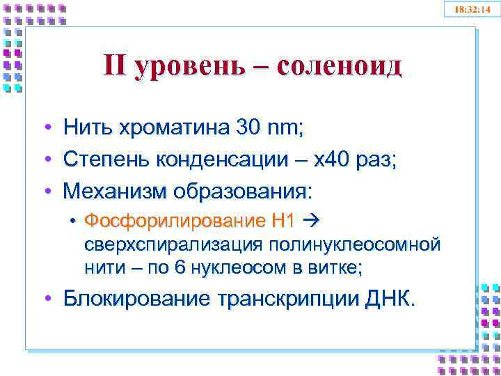 II уровень – соленоид • • • Нить хроматина 30 nm; Степень конденсации –