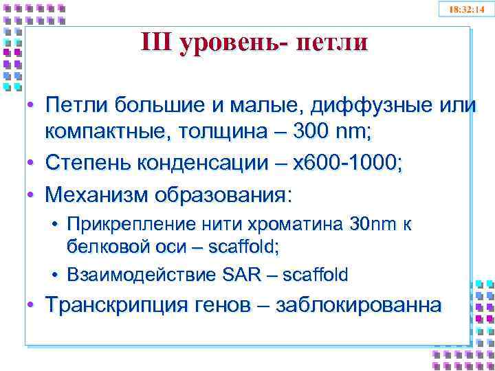 III уровень- петли • Петли большие и малые, диффузные или компактные, толщина – 300