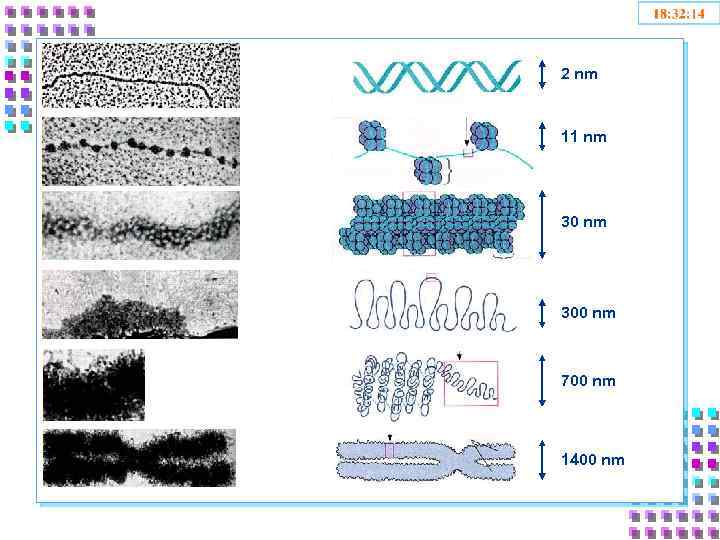 2 nm 11 nm 300 nm 700 nm 1400 nm 