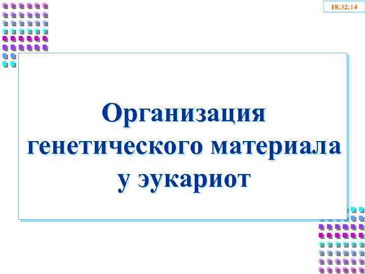 Организация генетического материала у эукариот 