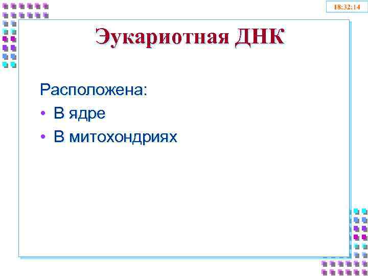 Эукариотная ДНК Расположена: • В ядре • В митохондриях 