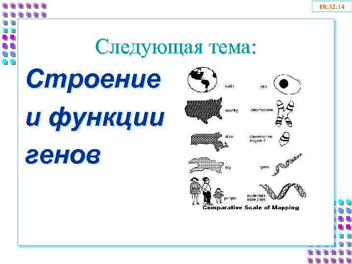Следующая тема: Строение и функции генов 