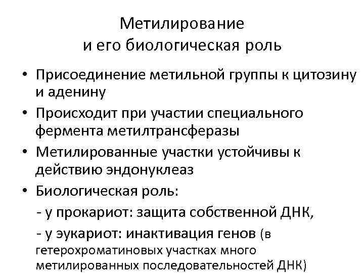 Метилирование и его биологическая роль • Присоединение метильной группы к цитозину и аденину •