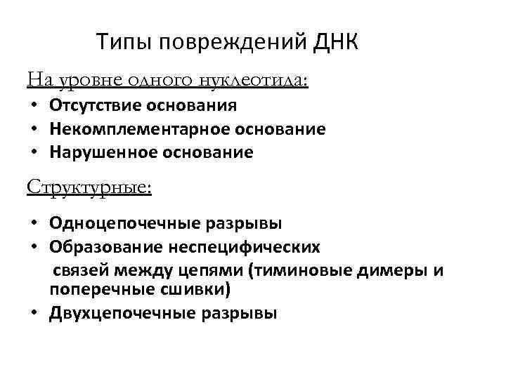 Типы повреждений ДНК На уровне одного нуклеотида: • Отсутствие основания • Некомплементарное основание •