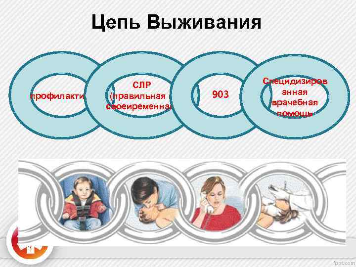Цепь Выживания профилактика СЛР (правильная и своеиременная) 903 Специдизиров анная врачебная помощь 