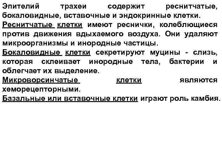 Эпителий трахеи содержит реснитчатые, бокаловидные, вставочные и эндокринные клетки. Реснитчатые клетки имеют реснички, колеблющиеся