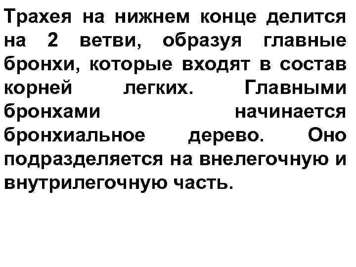 Трахея на нижнем конце делится на 2 ветви, образуя главные бронхи, которые входят в