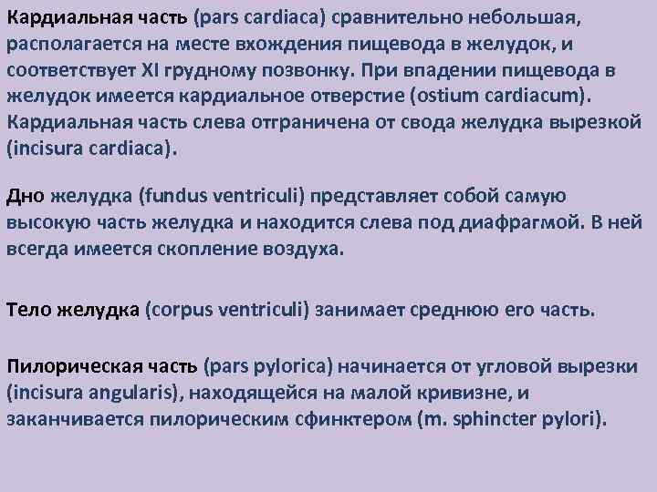 Кардиальная часть (pars cardiaca) сравнительно небольшая, располагается на месте вхождения пищевода в желудок, и