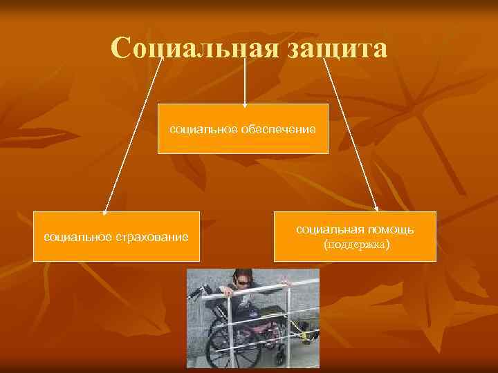 Социальная защита социальное обеспечение социальное страхование социальная помощь (поддержка) 