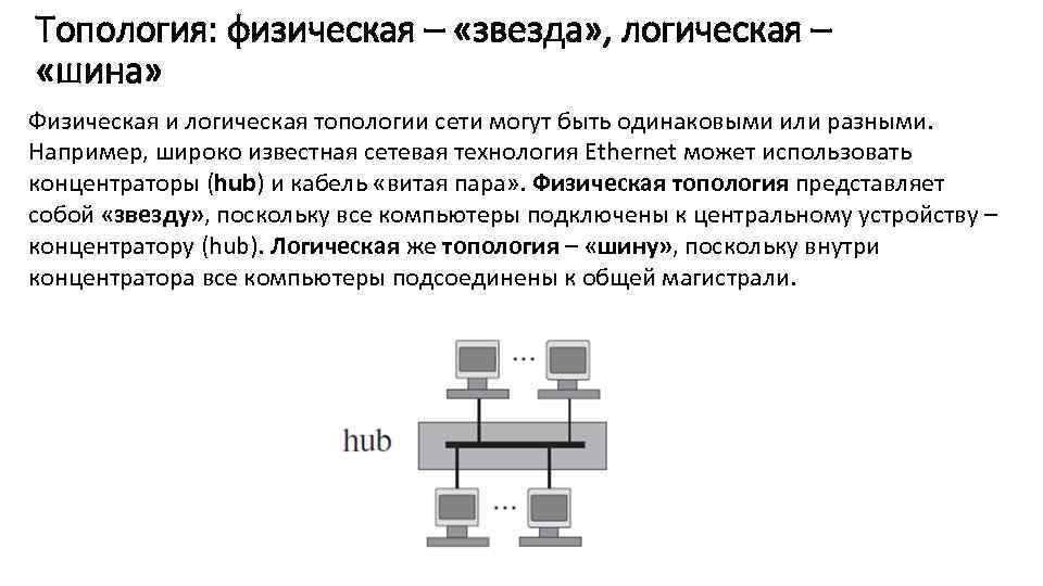 Топология: физическая – «звезда» , логическая – «шина» Физическая и логическая топологии сети могут