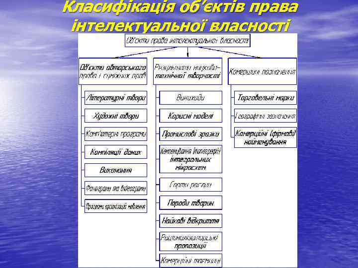 Класифікація об’єктів права інтелектуальної власності 