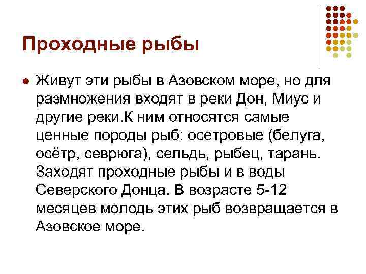 Проходные рыбы l Живут эти рыбы в Азовском море, но для размножения входят в