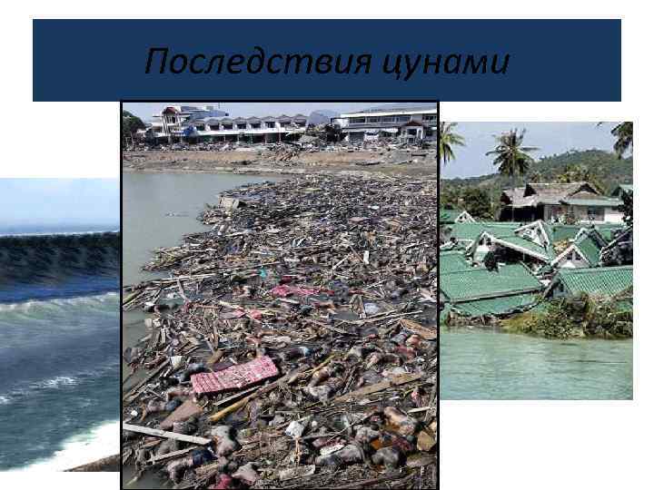 Последствия цунами 