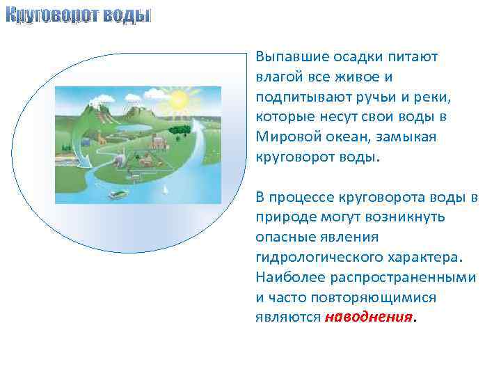 Круговорот воды Выпавшие осадки питают влагой все живое и подпитывают ручьи и реки, которые