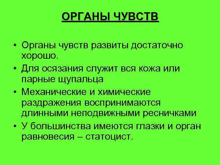 ОРГАНЫ ЧУВСТВ • Органы чувств развиты достаточно хорошо. • Для осязания служит вся кожа
