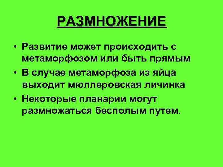 РАЗМНОЖЕНИЕ • Развитие может происходить с метаморфозом или быть прямым • В случае метаморфоза