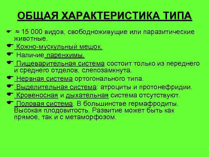 ОБЩАЯ ХАРАКТЕРИСТИКА ТИПА E ≈ 15 000 видов, свободноживущие или паразитические животные. E Кожно-мускульный