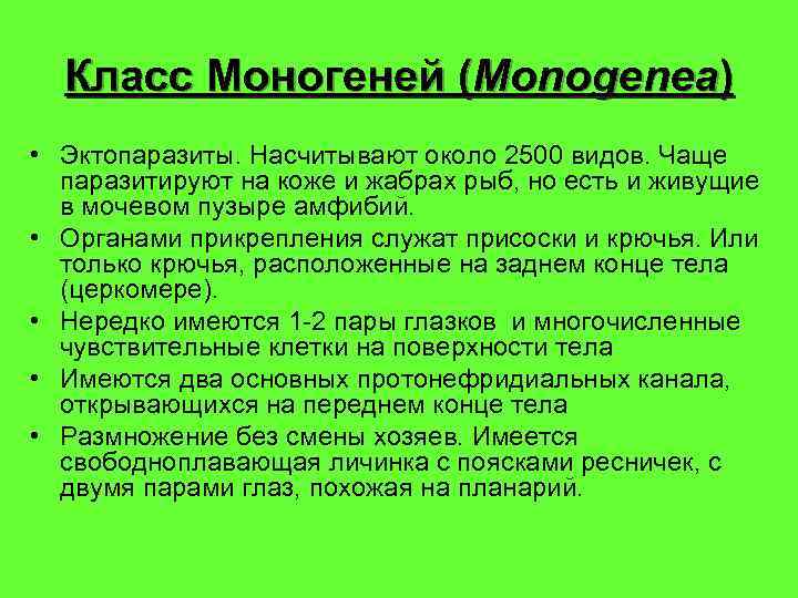 Класс Моногеней (Monogenea) • Эктопаразиты. Насчитывают около 2500 видов. Чаще паразитируют на коже и