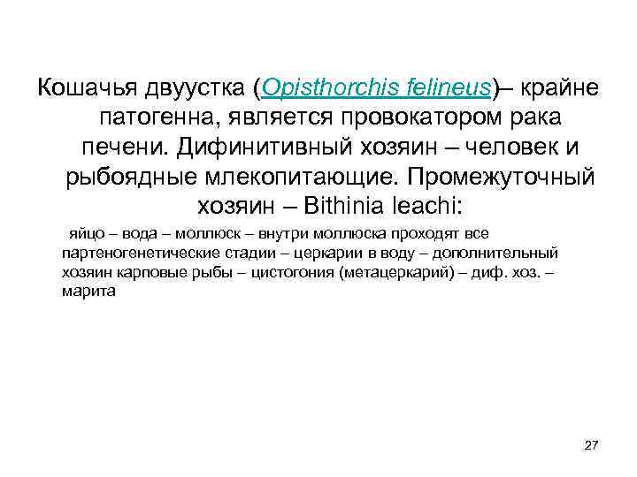 Кошачья двуустка (Opisthorchis felineus)– крайне патогенна, является провокатором рака печени. Дифинитивный хозяин – человек