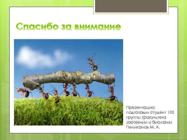 Презентацию подготовил студент 105 группы факультета зоотехнии и биологии Пеликанов М. А. 