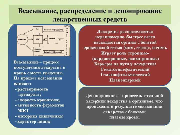 Всасывание, распределение и депонирование лекарственных средств Всасывание – процесс поступления лекарства в кровь с