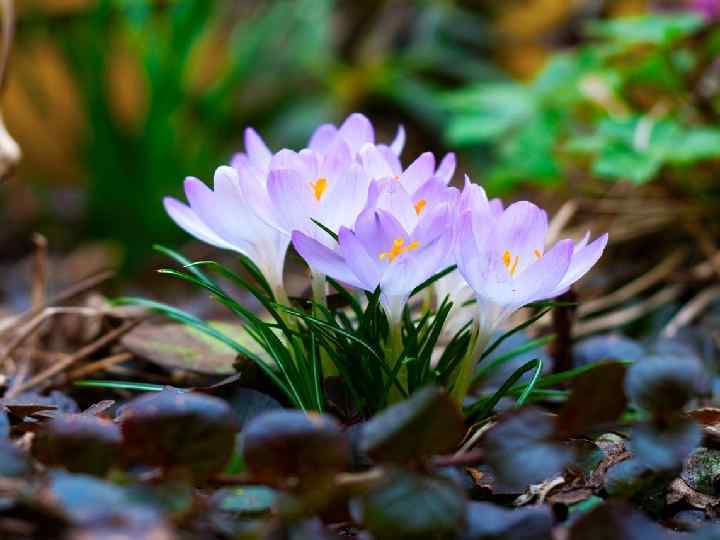 Спасибо за внимание 