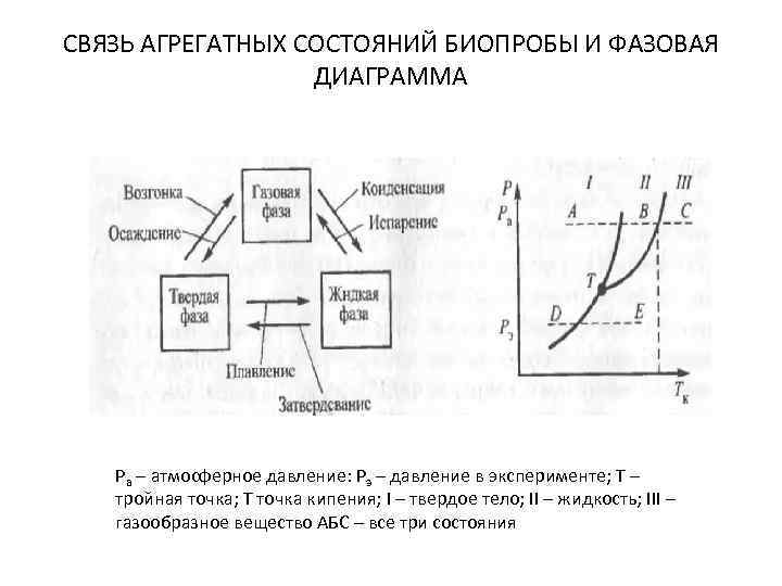 СВЯЗЬ АГРЕГАТНЫХ СОСТОЯНИЙ БИОПРОБЫ И ФАЗОВАЯ ДИАГРАММА Ра – атмосферное давление: Рэ – давление
