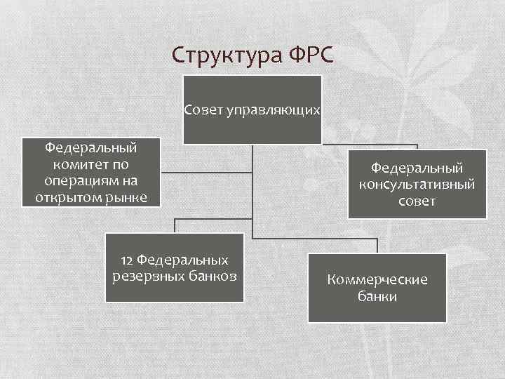 Структура фрс сша схема