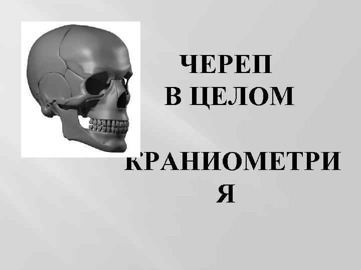 ЧЕРЕП В ЦЕЛОМ КРАНИОМЕТРИ Я 
