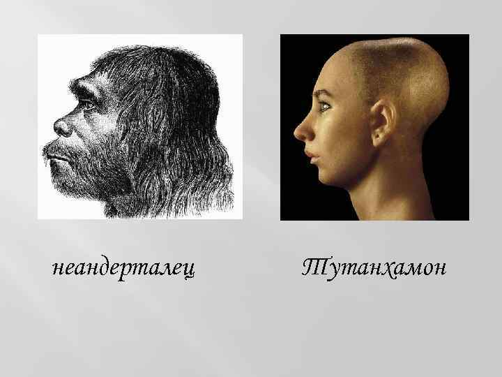 неандерталец Тутанхамон 