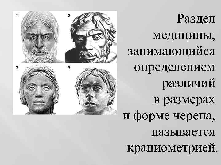 Раздел медицины, занимающийся определением различий в размерах и форме черепа, называется краниометрией. 