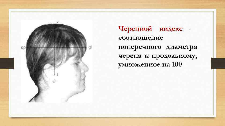 Черепной индекс соотношение поперечного диаметра черепа к продольному, умноженное на 100 