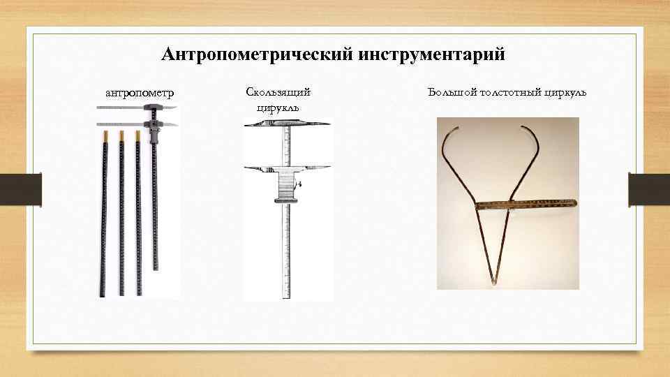 Антропометрический инструментарий антропометр Скользящий цирукль Большой толстотный циркуль 