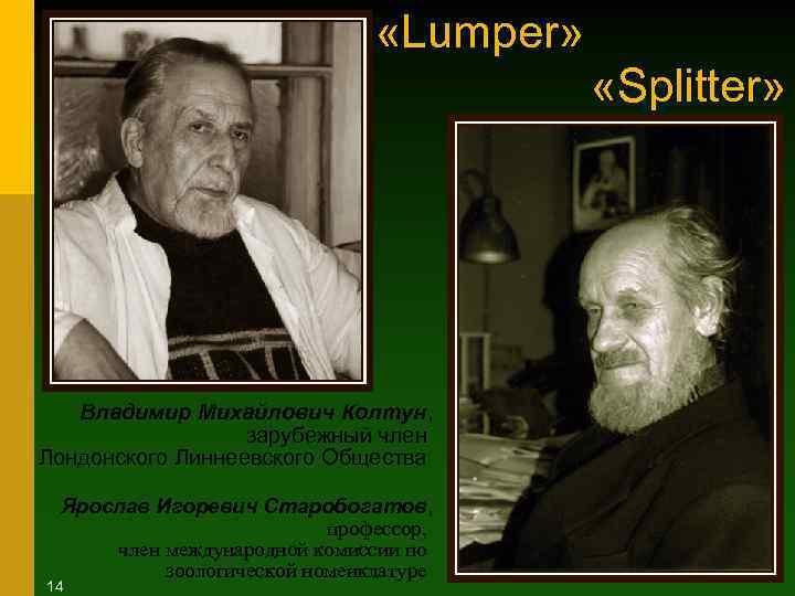  «Lumper» «Splitter» Владимир Михайлович Колтун, зарубежный член Лондонского Линнеевского Общества Ярослав Игоревич Старобогатов,