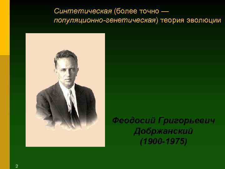 Синтетическая (более точно — популяционно-генетическая) теория эволюции Феодосий Григорьевич Добржанский (1900 -1975) 2 