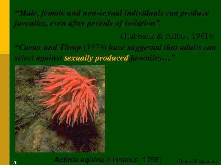 “Male, female and non-sexual individuals can produce juveniles, even after periods of isolation”. (Lubbock