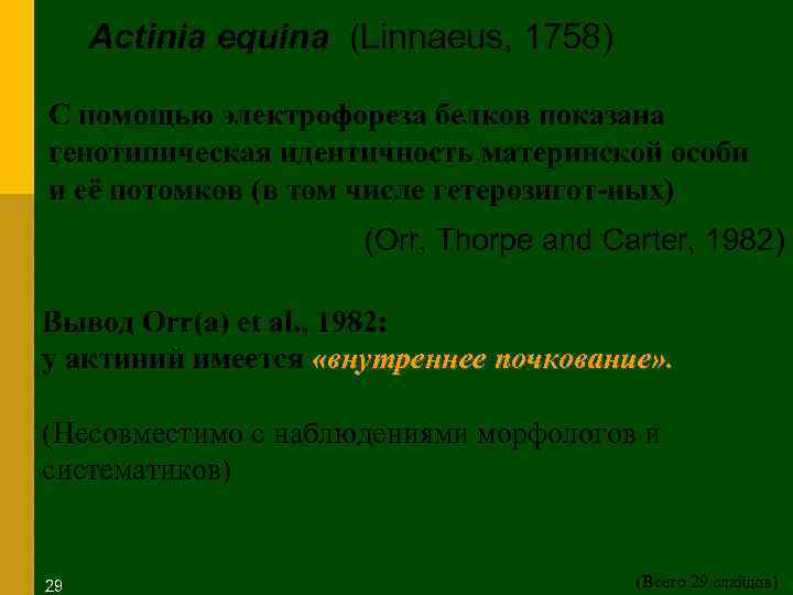Actinia equina (Linnaeus, 1758) С помощью электрофореза белков показана генотипическая идентичность материнской особи и