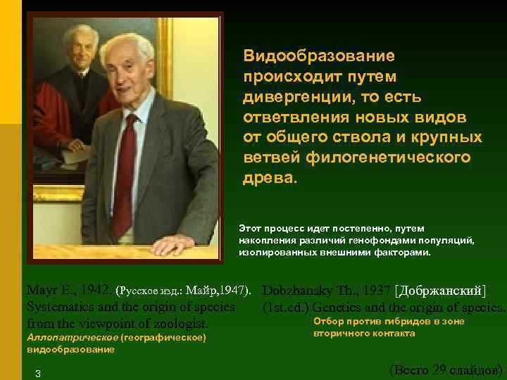 Видообразование происходит путем дивергенции, то есть ответвления новых видов от общего ствола и крупных