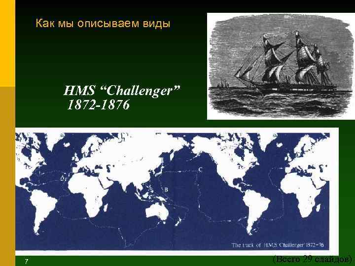 Как мы описываем виды HMS “Challenger” 1872 -1876 (4) 7 (Всего 29 слайдов) 