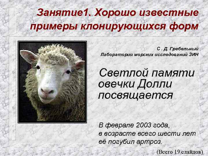 Занятие 1. Хорошо известные примеры клонирующихся форм С. Д. Гребельный Лаборатория морских исследований ЗИН