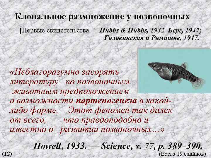 Клональное размножение у позвоночных [Первые свидетельства — Hubbs & Hubbs, 1932 Берг, 1947; Головинская