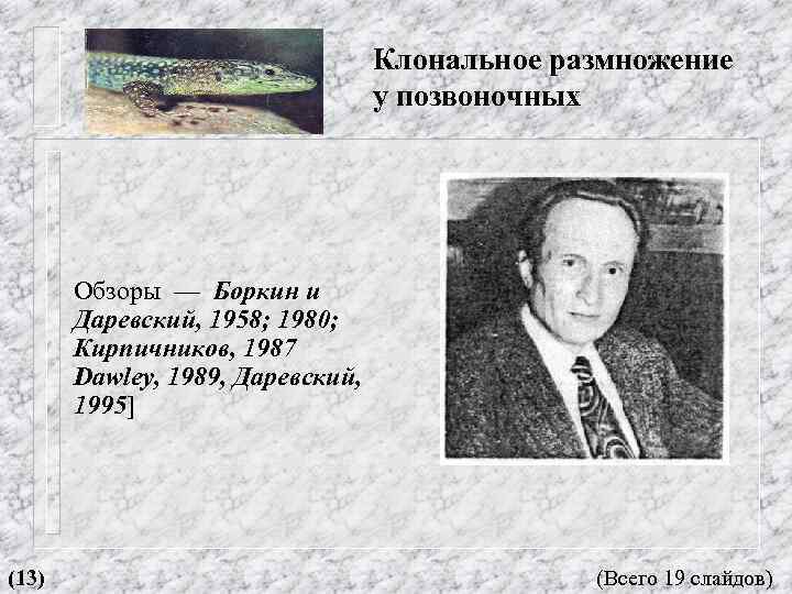 Клональное размножение у позвоночных Обзоры — Боркин и Даревский, 1958; 1980; Кирпичников, 1987 Dawley,