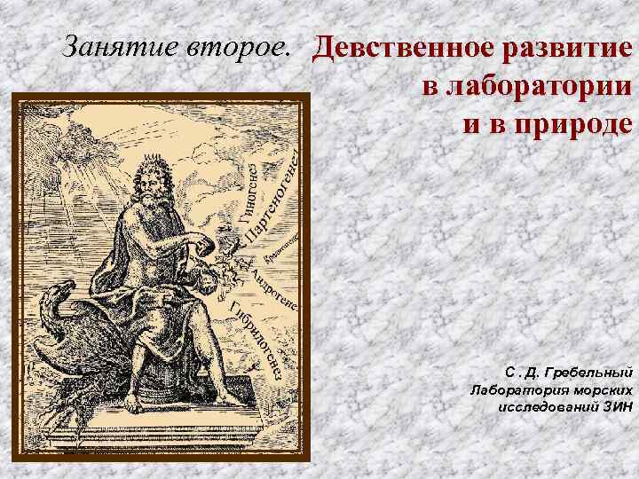 Занятие второе. Девственное развитие в лаборатории и в природе С. Д. Гребельный Лаборатория морских