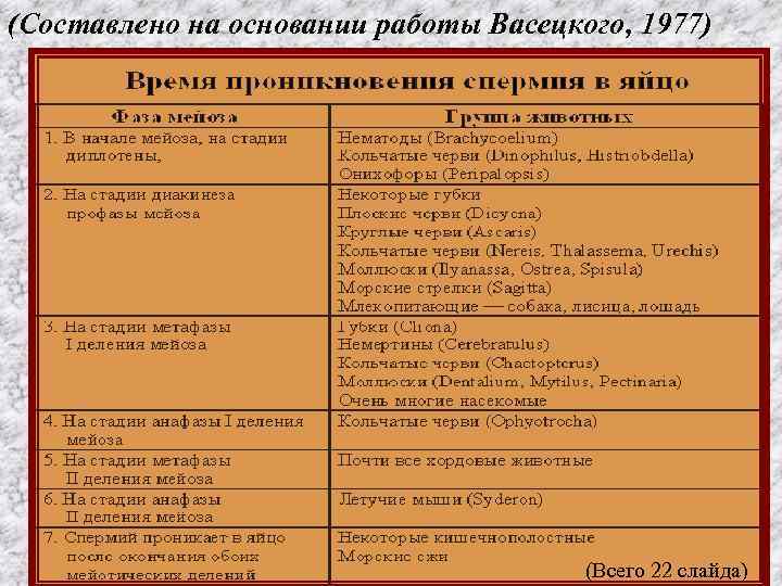 (Составлено на основании работы Васецкого, 1977) (Всего 22 слайда) 