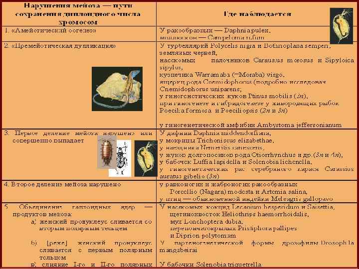По Васецкому (1977), с дополнениями из Аззела (Uzzell, 1970), Суомалайнена (Suomalainen et al. ,