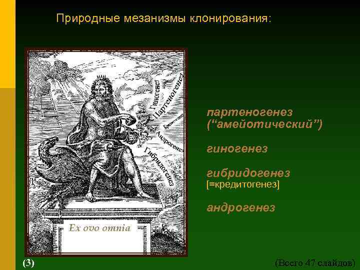 Природные мезанизмы клонирования: партеногенез (“амейотический”) гиногенез гибридогенез [=кредитогенез] андрогенез Ex ovo omnia (3) (Всего