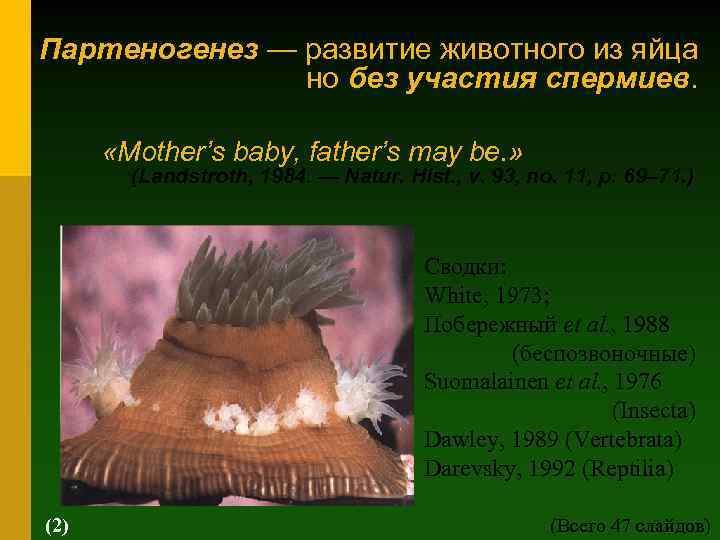 Партеногенез — развитие животного из яйца но без участия спермиев. «Mother’s baby, father’s may