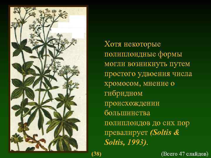 Хотя некоторые полиплоидные формы могли возникнуть путем простого удвоения числа хромосом, мнение о гибридном